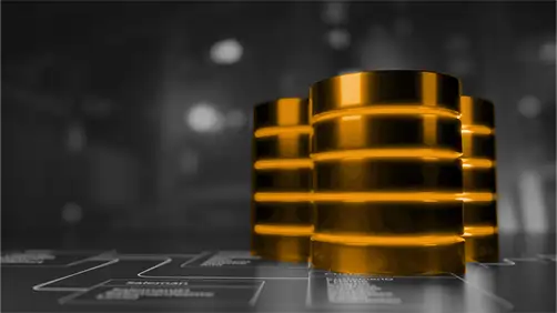 Database