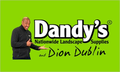 Dandys logo