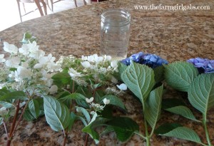 cut hydrangeas