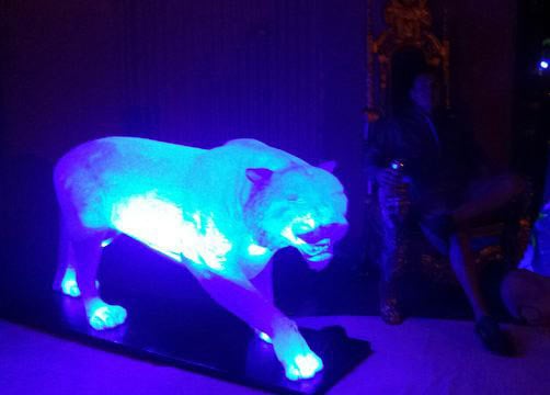 Ice Tiger rental for events in Los Angeles, Orange County, and nationwide