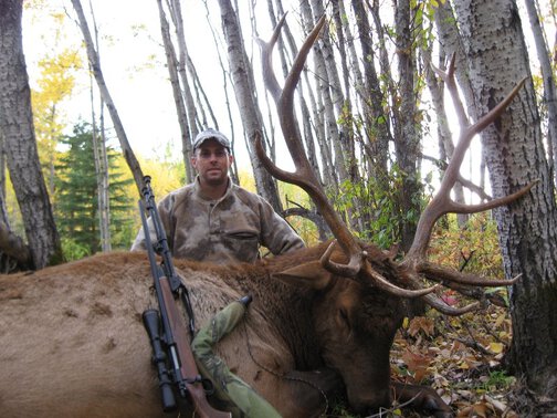 Elk byMarchunting found on http://www.ihuntcanada.com/elk.htm