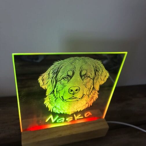 Miroir Gravé Lumineux : Un Portrait Éternel pour Vos Êtres Chers