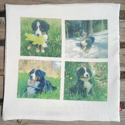 Taie d&rsquo;Oreiller Photos Personnalisable 40×40 cm – Pêle-Mêle