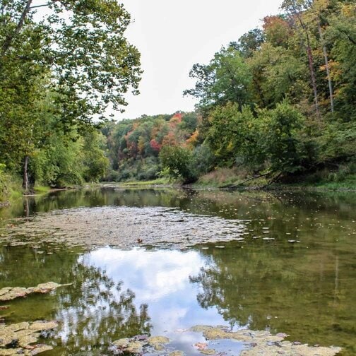 VERMILION COUNTY CAMPING | 3 CAMPGROUNDS NEAR DANVILLE THAT EVERYONE WILL LOVE 3_2021 MiddleFork