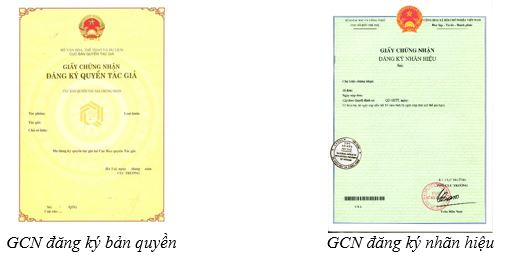 Tư vấn chi tiết về đăng ký bản quyền logo