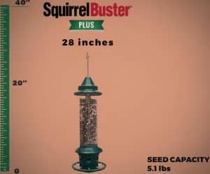 Squirrel Repellent Bird Feeder