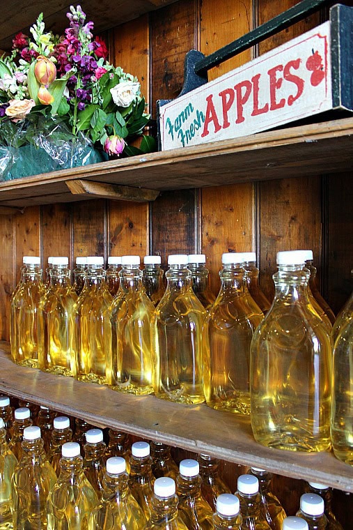 yarra valley wine tours
