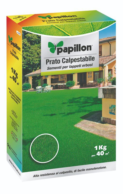 🌿 Papillon – Miscuglio Semi per Prato Calpestabile CON AGGIUNTA DI ZEOLITE