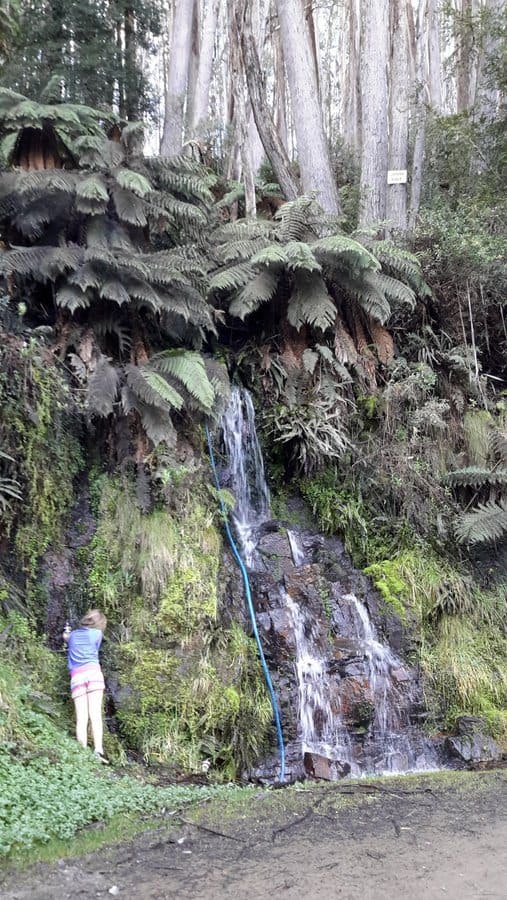 29 Woods Point Warburton Road -Waterfall