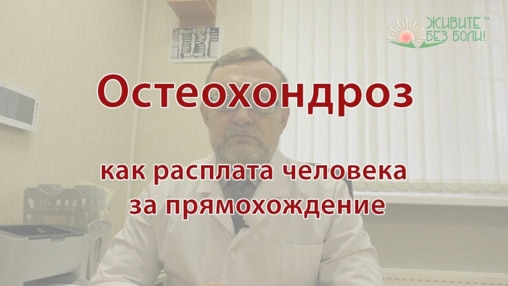 Остеохондроз как расплата человека за прямохождение