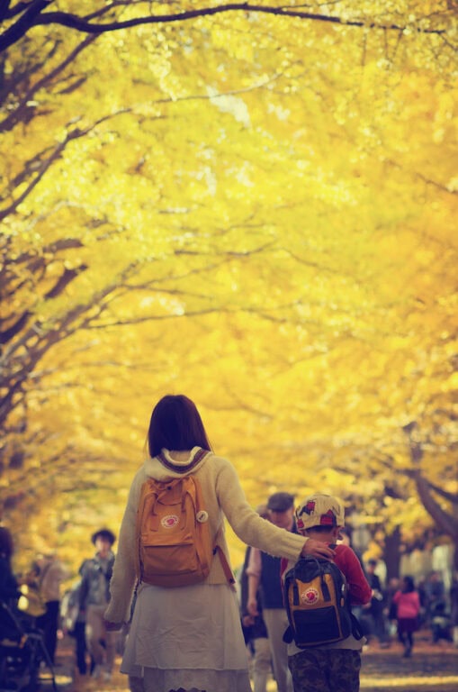 YOSAKOI的索朗祭 Hokkaido University