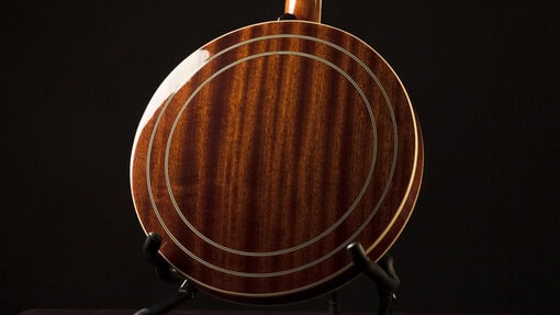 recording king elite 76 banjo