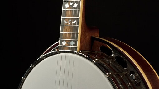 recording king elite 76 banjo