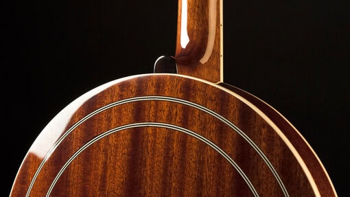 recording king elite 76 banjo