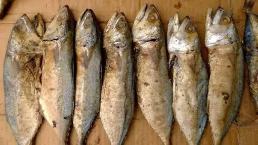 perbedaan ikan kembung dan peda yang proses pembuatan utamanya melalui fermentasi