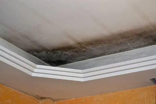 emergency-leak-repair-plumber-in-allentown-and-bethlehem-pa Damaged and Wet Basement Ceiling in Bethlehem PA House Causing Owner to Call for Allentown Emergency Leak Repair Plumber