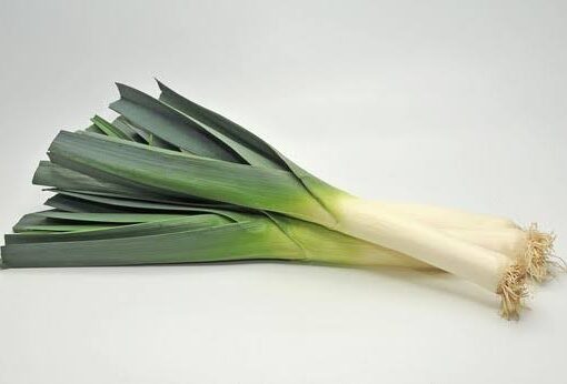 Feuille de poireau botte