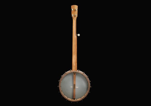 Pisgah Possum - Image 12