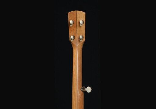 Pisgah Possum - Image 9