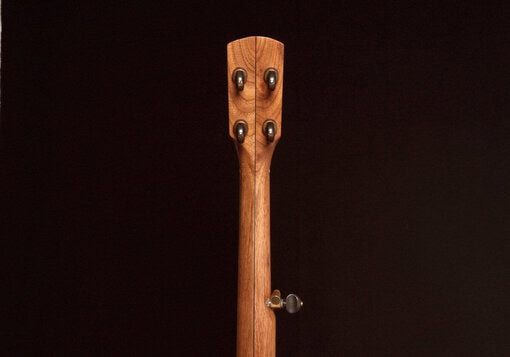 Pisgah Possum - Image 8