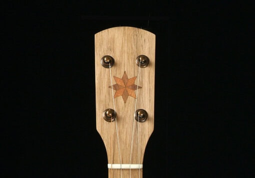 Pisgah Possum - Image 10