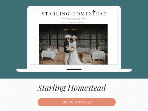 Starling Homestead – Digital Strategy