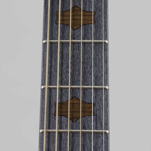 deering goodtime six resonator