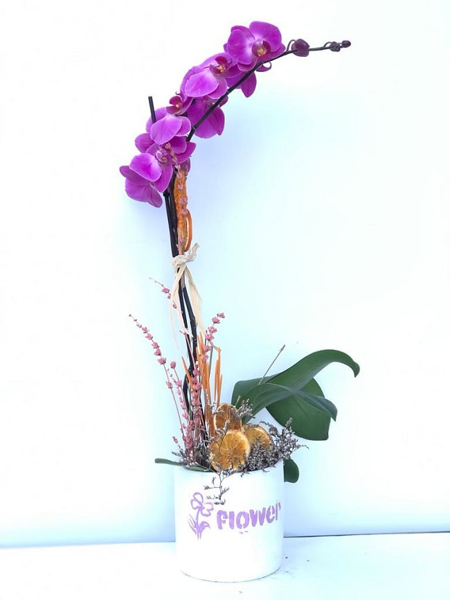 Mor Tekli Orkide C-OR122 - Görsel 5