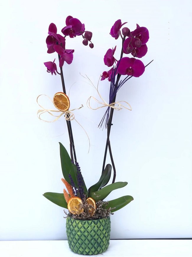 Pembe Orkide Çift Dal C-OR103 - Görsel 4
