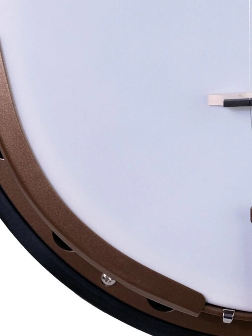 goodtime 2 deco by deering - 5 string bluegrass banjo