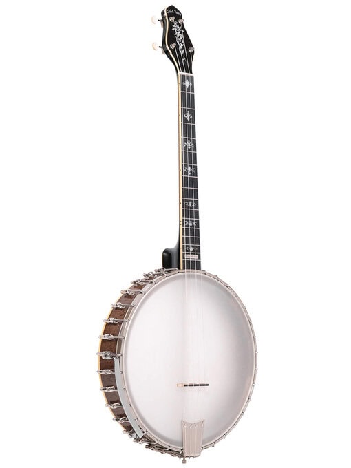 gold tone ceb-4 banjo