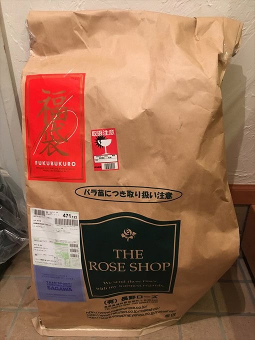 届いたバラ苗の福袋