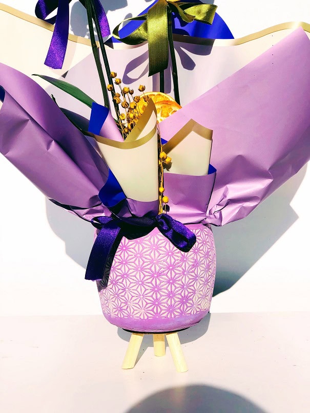 Çiftli Pembe Felix Orkide - Görsel 2