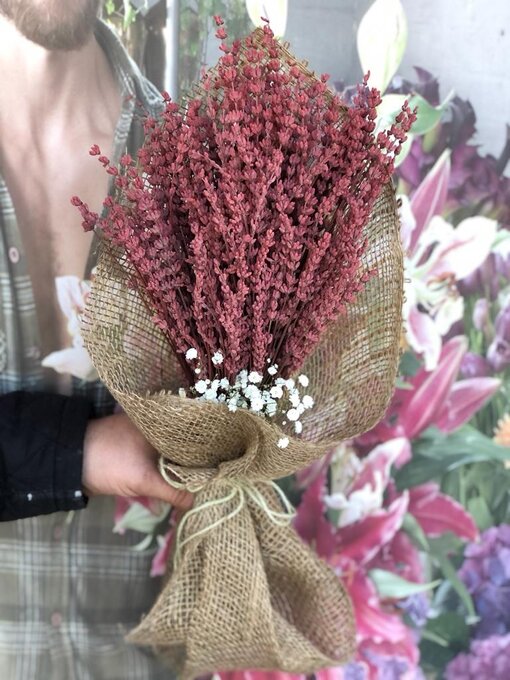 Pembe Kokulu Sevgi Çiçeği Lavanta - Görsel 2