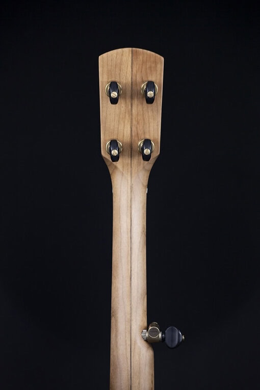 Pisgah Rambler Dobson - Image 6