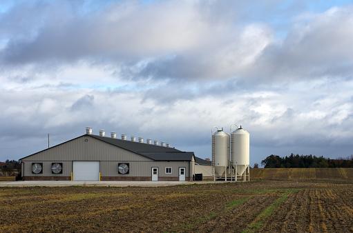 Steel dairy barn with feed silos on a Canadian farm