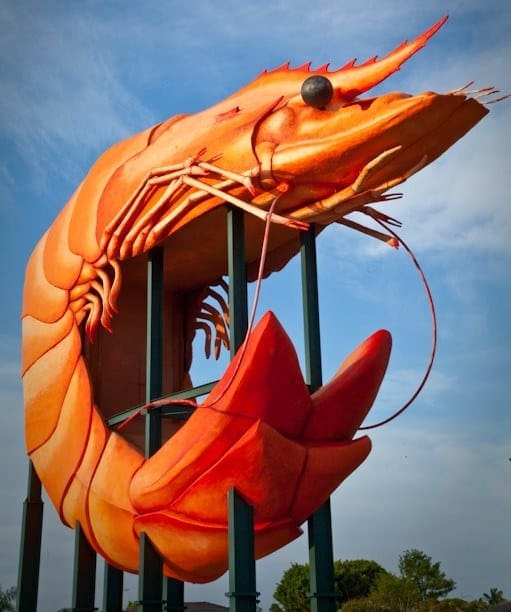 the-big-prawn-ballina-nsw