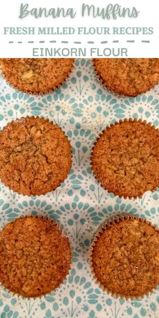 Einkorn banana muffins in a pattern of 6 on top of a turquoise patterned kitchen placemat. 