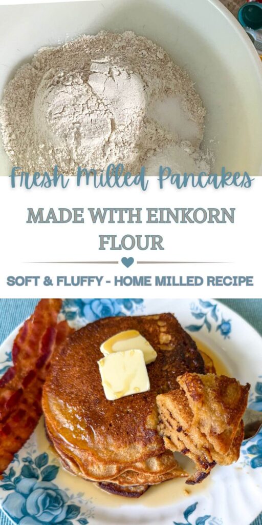 Freshly milled einkorn wheat berries and flour shown above a stack of golden fluffy einkorn flour pancakes drizzled with maple syrup, styled on a rustic surface with natural lighting.