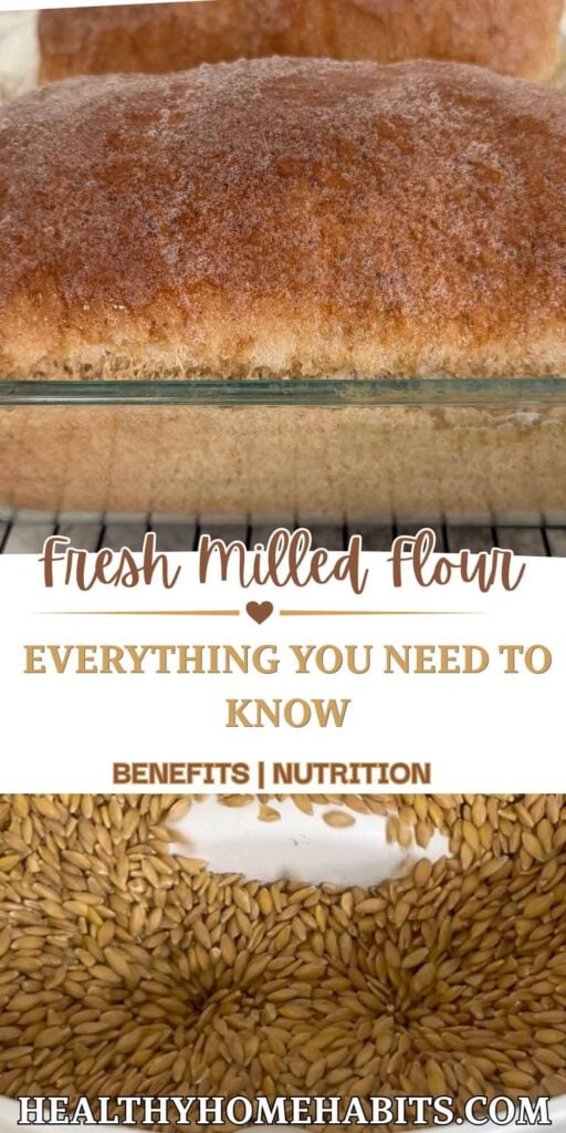 Two loaves of fresh milled flour bread on top of wheat berries in an electric mill. 