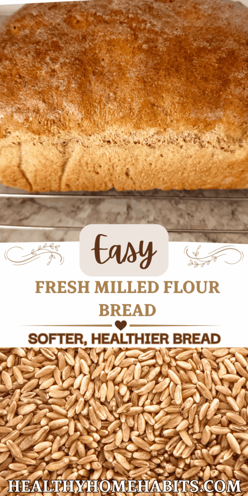 Image has two pictures with text in between. Image on top is a loaf of bread sideways. Image on bottom is a close up of wheat berries. 
