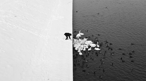 Winter-in-Krak-w-photographed-by-Marcin-Ryczek