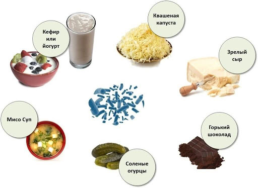 Разница между Пробиотиками и Пребиотиками 1 Продукты, содержащие Пробиотики