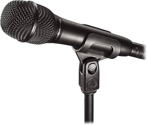 Audio-Technica AT2010 Cardioid Condenser Handheld Microphone