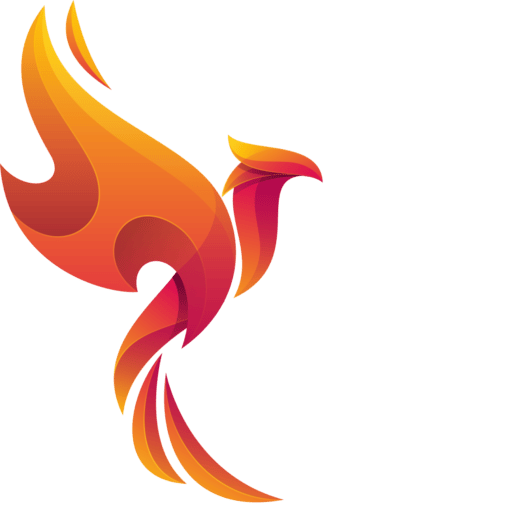Fenix Media Nenad Vasic