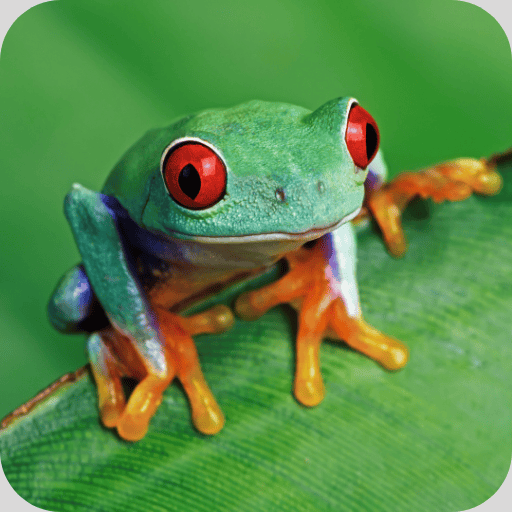 Shown when the image doesn’t load or for screen readers. Keep it short and descriptive.