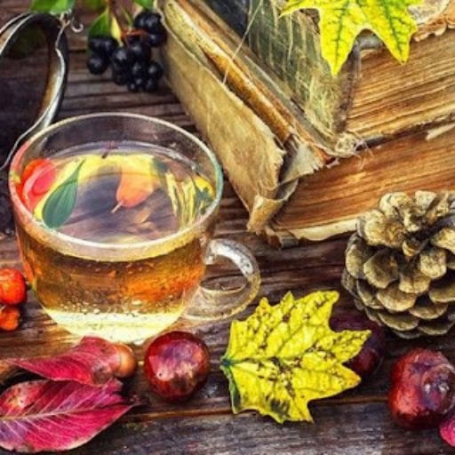 Infusion de plantes médicinales pour renforcer l'immunité en automne - Atelier naturopathie Mouans-Sartoux