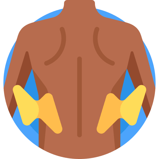 image icon back pain