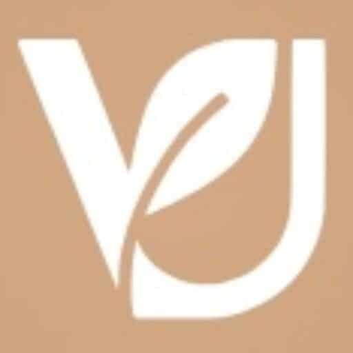 ToutVu