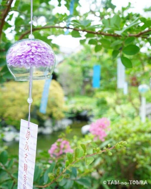 おふさ観音は四季折々の花が楽しめ仏様の世界のように見えることから「花まんだらの寺」、そして「元気が出るお寺」であることを大切にされているそうです。  風鈴のガラスの鐘の中にも花が咲き短冊がやさしく揺れる姿がなんともかわいらしい。  音だけでなく、目でも涼を感じられる元気が出るお寺でした。  詳しくはブログにまとめました📖プロフィールのリンクからどうぞ。  #おふさ観音 #風鈴まつり #風鈴寺 #奈良県 #元気充電旅